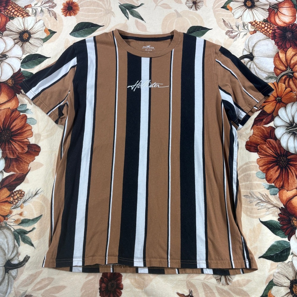 Hollister Must Have Collection Striped T Shirt Mens Cotton Brown Black Size XL
